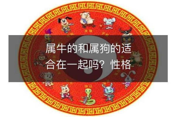属狗命运解析:揭示属狗人的性格与命理秘密 属狗命运解析:揭示属狗人的性格与命理秘密