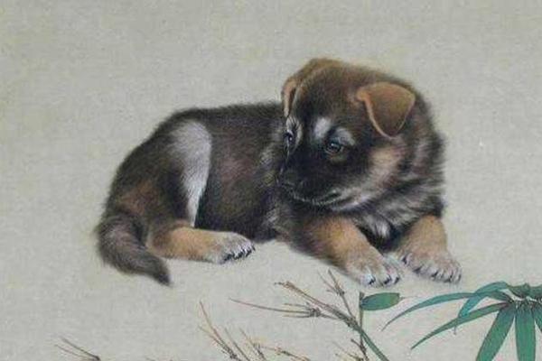 属狗命运解析:揭示属狗人的性格与命理秘密 属狗命运解析:揭示属狗人的性格与命理秘密