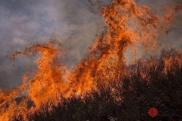 山头火命适合的职业与发展路径探索