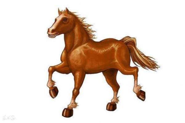 生肖命理:三三两两的命运解析与人生启示 生肖命理:三三两两的命运解析与人生启示