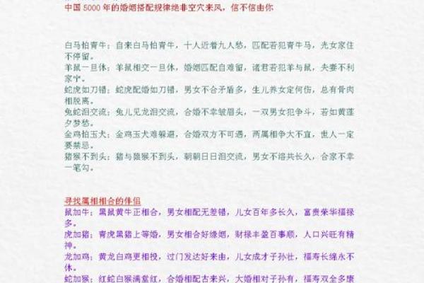 男属土命的生肖特征及其在生活中的影响