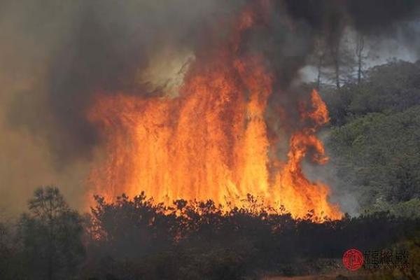 山头火命选择最佳楼层，这些秘密你知道吗？