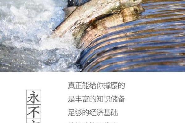 三月初四出生之人:命运与未来的探索之旅 三月初四出生之人:命运与未来的探索之旅