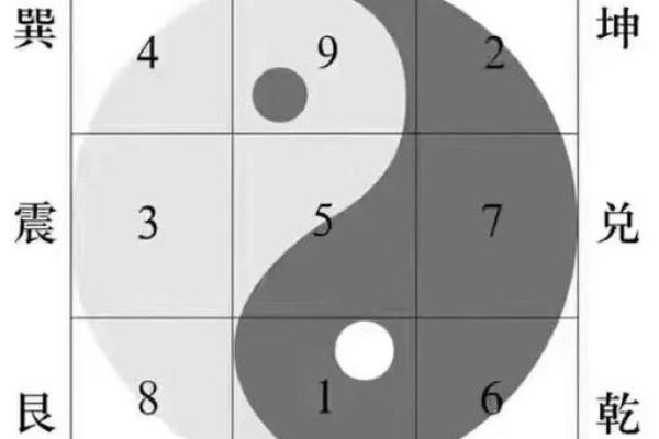 女命1981:解读八卦命理,探索命运的奥秘与人生轨迹 女命1981:解读八卦命理,探索命运的奥秘与人生轨迹