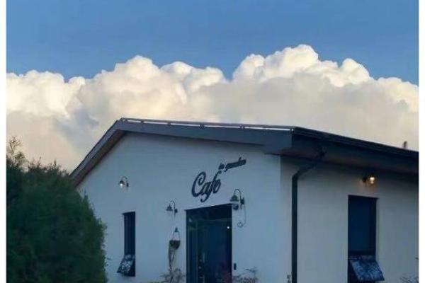 男命日坐桃花，探讨桃花运的真谛与启示