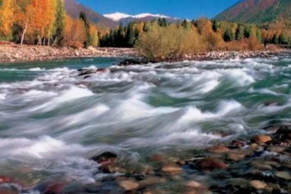 木猪命与水命、木命的绝佳配对解析