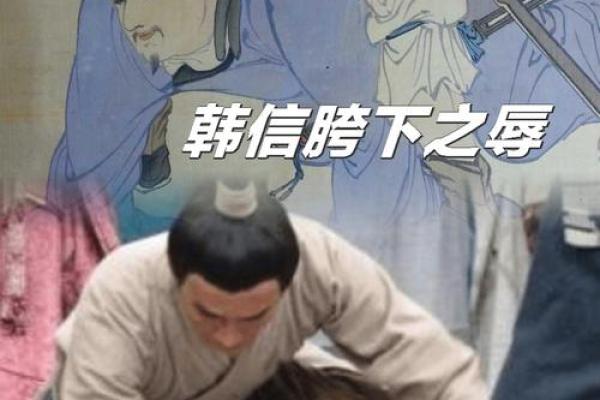 女人匪夫命:探寻女性的坚韧与勇气的另一面 女人匪夫命:探寻女性的坚韧与勇气的另一面