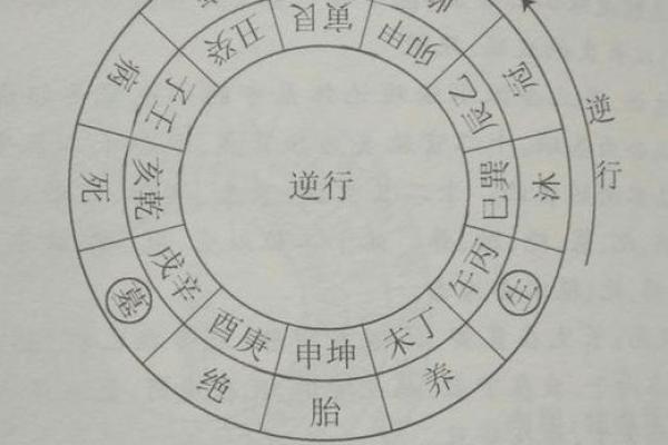 壬水命男如何选择合适的罗盘,助你运势加分! 壬水命男如何选择合适的罗盘,助你运势加分!