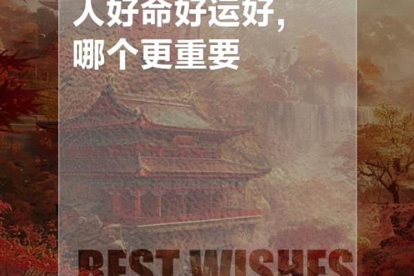 石榴木命:与哪些命相配才能更好地发挥潜力? 石榴木命:与哪些命相配才能更好地发挥潜力?