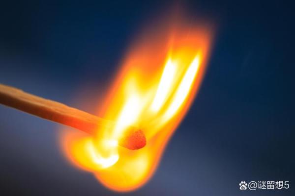 拼尽全力,只为那声谢谢你,人生的真谛 拼尽全力,只为那声谢谢你,人生的真谛