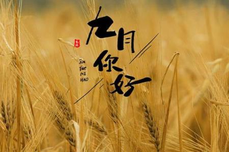 深度解析：农历五月初十出生的命理与人生轨迹探秘