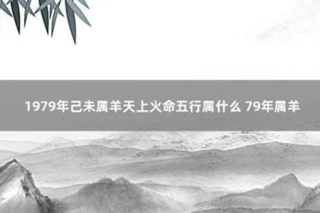 属羊1979年五行分析及性格特点解析