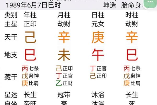 深入探索十二属相的命理与人生智慧 深入探索十二属相的命理与人生智慧
