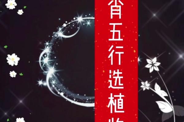 石榴木命人最适合养的花卉解析与推荐 石榴木命人最适合养的花卉解析与推荐