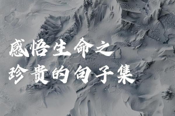 神仙难救无命客：生命的脆弱与珍贵