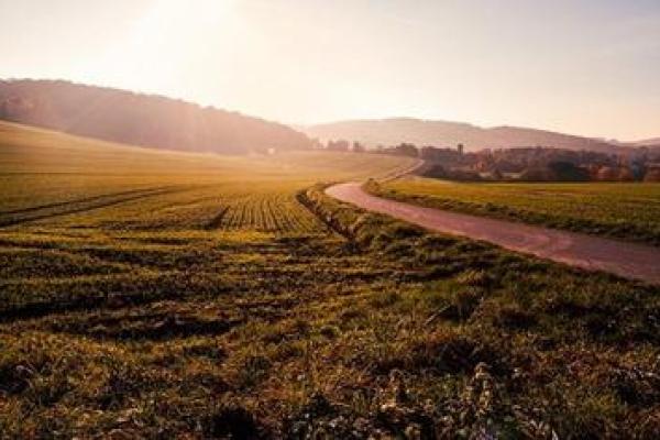 泉水命解析:适合居住几楼,提升运势的小秘密 泉水命解析:适合居住几楼,提升运势的小秘密