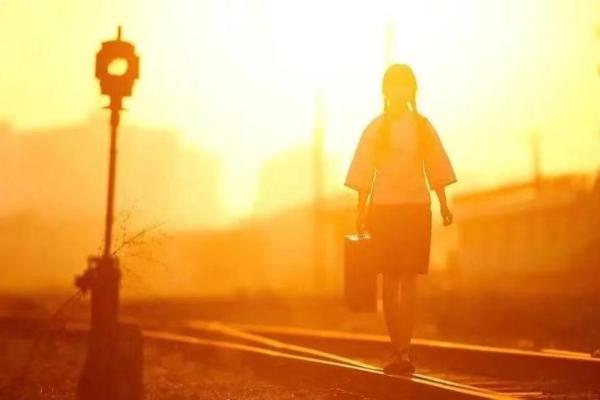 十七岁属狗:守护者的命运与人生旅程 十七岁属狗:守护者的命运与人生旅程