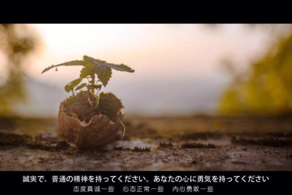 穷人之命:揭示贫困潦倒的背后秘密与未来希望 穷人之命:揭示贫困潦倒的背后秘密与未来希望