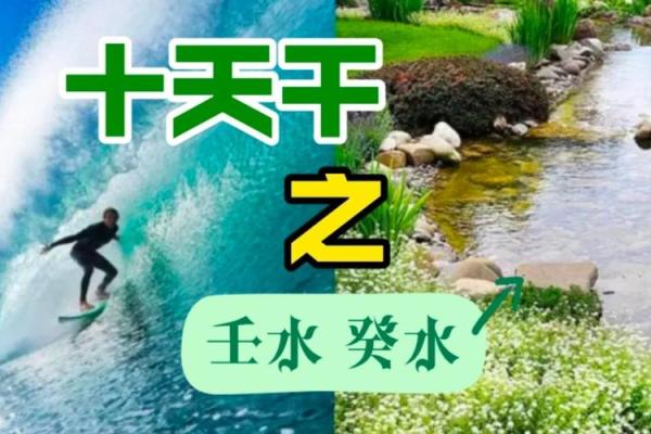 壬癸水命的人,生活中的注意事项与建议 壬癸水命的人,生活中的注意事项与建议