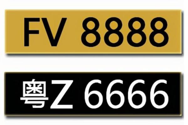 属蛇土命人士适合的车牌号推荐与解析 属蛇土命人士适合的车牌号推荐与解析