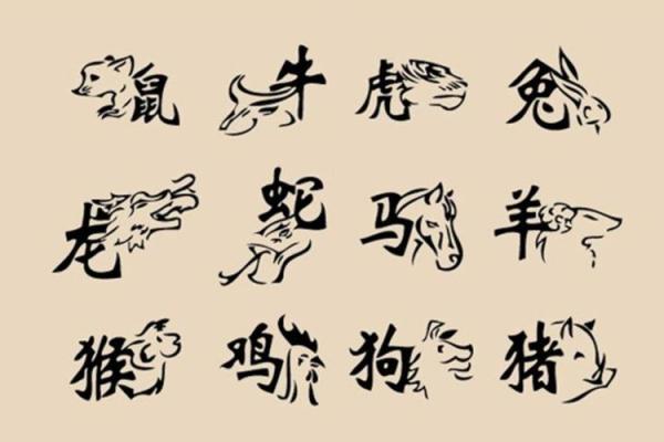 孩子属相与后人命运的奇妙联系,你信吗? 孩子属相与后人命运的奇妙联系,你信吗?