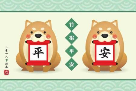 属虎女八月出生：什么命运与未来展望