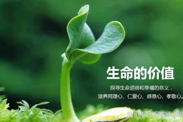 什么是实命与虚命？探索生命的意义与存在的价值