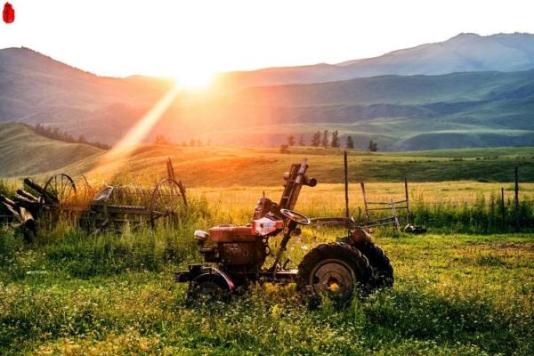 当命运之手抚过，谁能改变人生的轨迹？