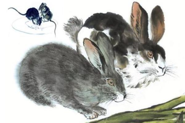 十一岁属兔的孩子:他们的命运与未来的启示 十一岁属兔的孩子:他们的命运与未来的启示