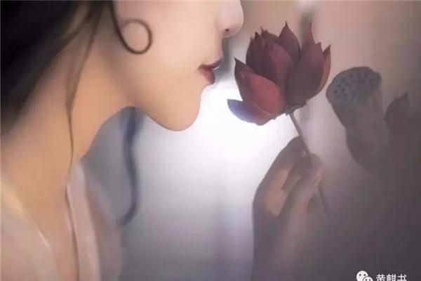 男招好妻之命:寻找爱情与幸福的启示 男招好妻之命:寻找爱情与幸福的启示