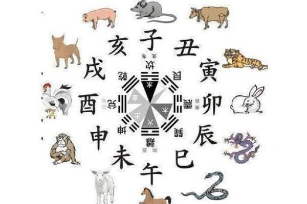 十六岁狗狗的五行命理解析:解读它们的生命意义与归属 十六岁狗狗的五行命理解析:解读它们的生命意义与归属