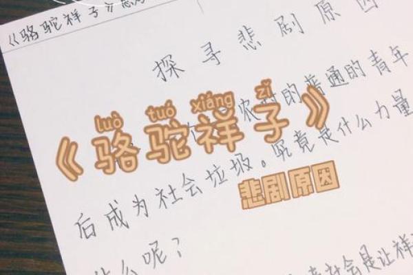 命为何不值钱？探寻背后的心理与社会因素