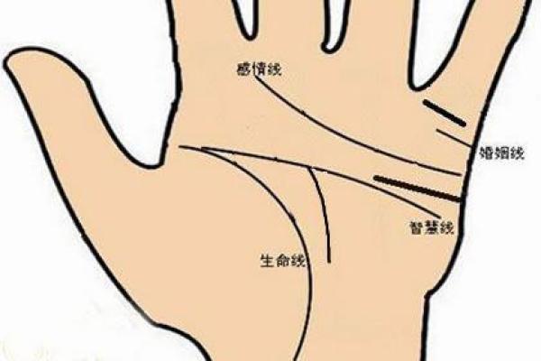女生手相解析:长什么样的手才是命好之象? 女生手相解析:长什么样的手才是命好之象?