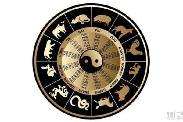 命运的密码：解读算命中的“命好”含义与价值