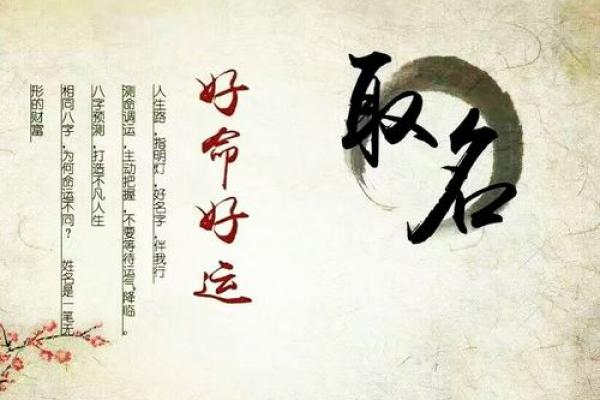 申时出生的八字解析：探索命理的奥秘与人生之路