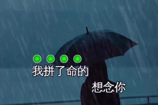 拼了命的在想念,心中的那首歌是你 拼了命的在想念,心中的那首歌是你