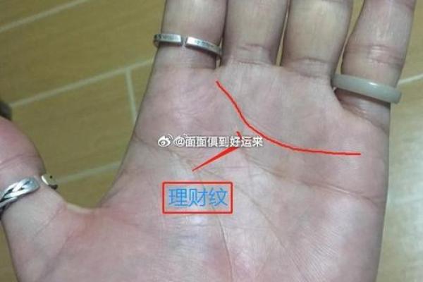 手相分析:乱纹与粗躁的命运探秘 手相分析:乱纹与粗躁的命运探秘