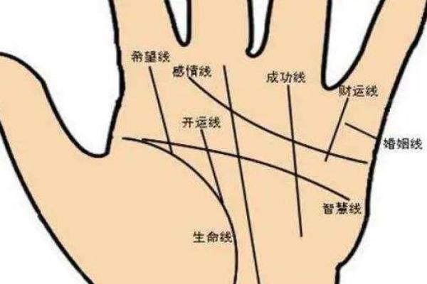 手相分析:乱纹与粗躁的命运探秘 手相分析:乱纹与粗躁的命运探秘