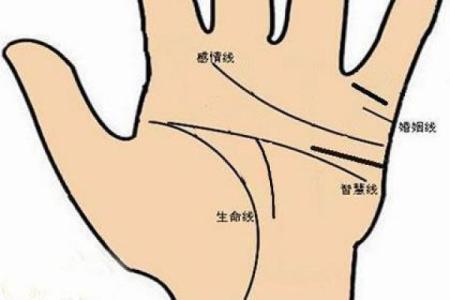 女生手相解析：长什么样的手才是命好之象？