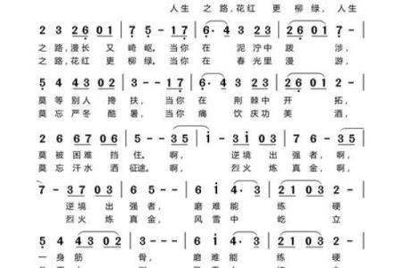 申时出生的八字解析：探索命理的奥秘与人生之路
