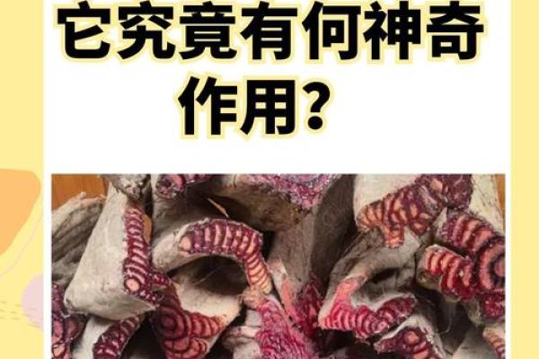 揭开蛇过命草药的神秘面纱，探寻其别名与独特疗效