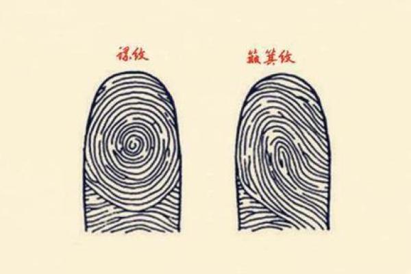 揭示簸箕命:从手纹看人生起伏与性格特征 揭示簸箕命:从手纹看人生起伏与性格特征