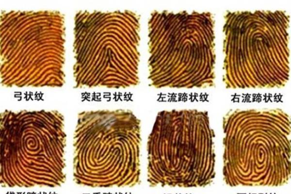 揭示簸箕命:从手纹看人生起伏与性格特征 揭示簸箕命:从手纹看人生起伏与性格特征