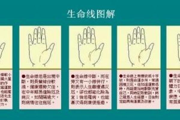 生命线平行的线是什么命？探索命运的奥秘与启示！