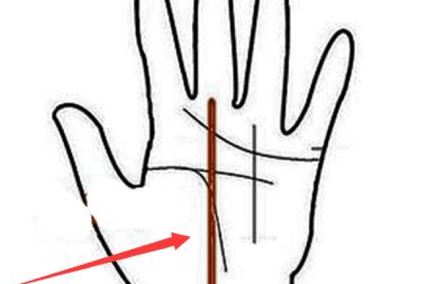 生命线平行的线是什么命？探索命运的奥秘与启示！