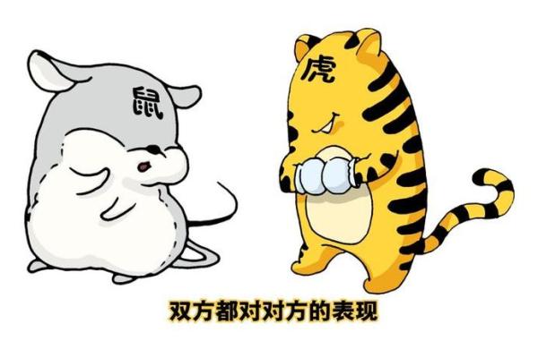 女鼠男虎结婚:相辅相成的命运之旅 女鼠男虎结婚:相辅相成的命运之旅