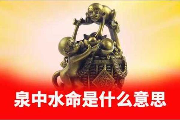 泉中水命人士最适合养的动物,让你的生活更加丰富多彩! 泉中水命人士最适合养的动物,让你的生活更加丰富多彩!