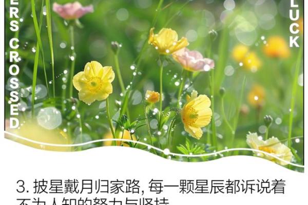 披星戴月:追寻梦想的旅程与力量 披星戴月:追寻梦想的旅程与力量