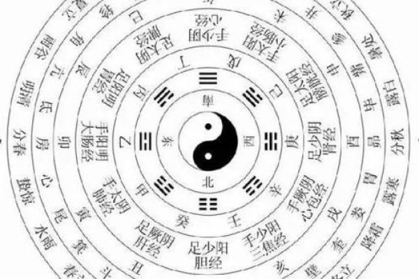 生肖虎与五行命理的深度探讨:揭开华夏文化的神秘面纱 生肖虎与五行命理的深度探讨:揭开华夏文化的神秘面纱