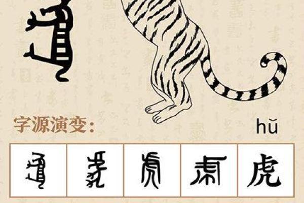 生肖虎与五行命理的深度探讨:揭开华夏文化的神秘面纱 生肖虎与五行命理的深度探讨:揭开华夏文化的神秘面纱